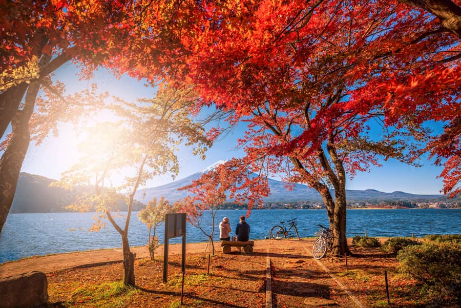 MÙA THU CUNG ĐƯỜNG VÀNG (OSAKA – NARA – KYOTO - NAGOYA - YAMANASHI - TOKYO) TN