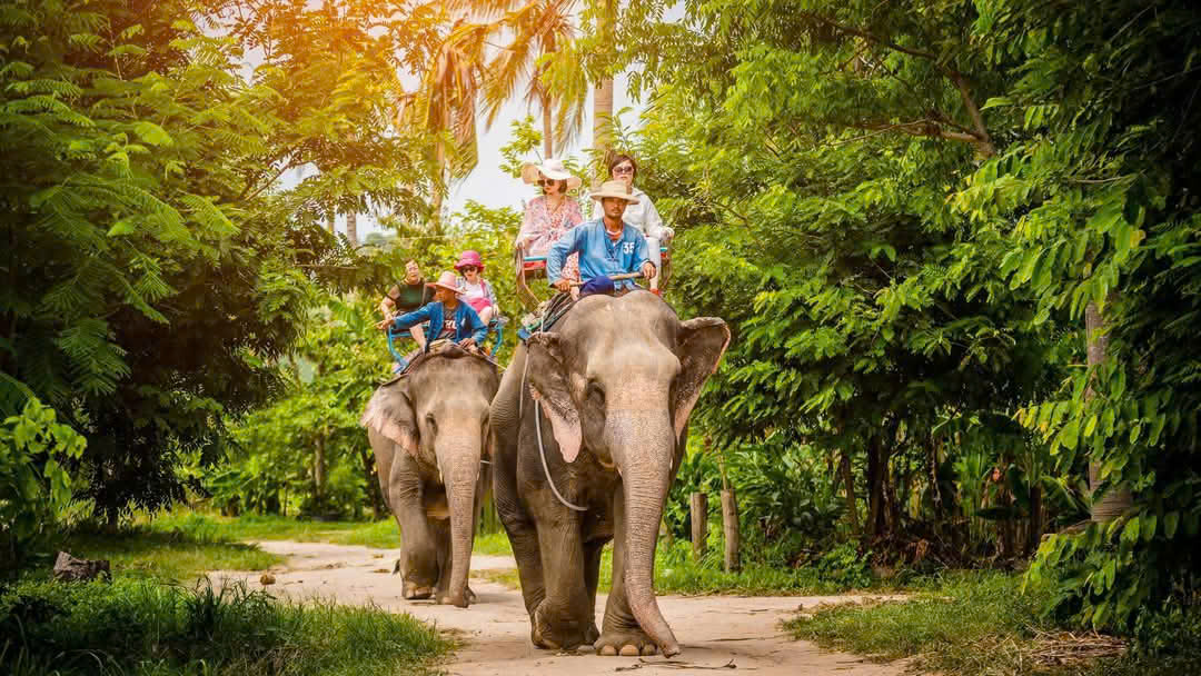 BANGKOK - SUAN THAI - PATTAYA (TN)