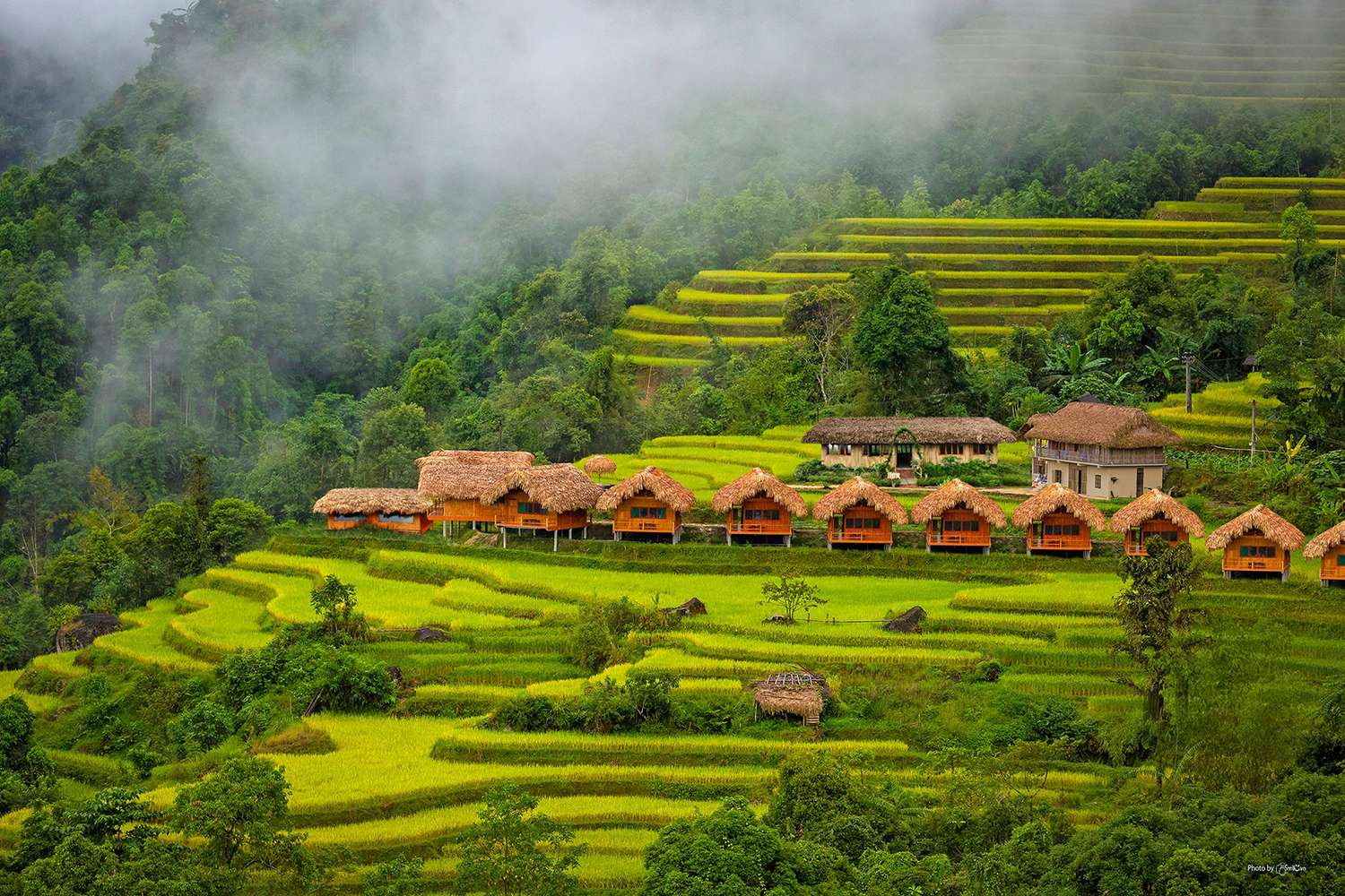  TOUR MIỀN BẮC  Trang chủ  TOUR NỘI ĐỊA  TOUR MIỀN BẮC HÀ NỘI – HOÀNG SU PHÌ – SUÔI THẦU – BẮC HÀ MÙA LÚA CHÍN - 3N2D - VM